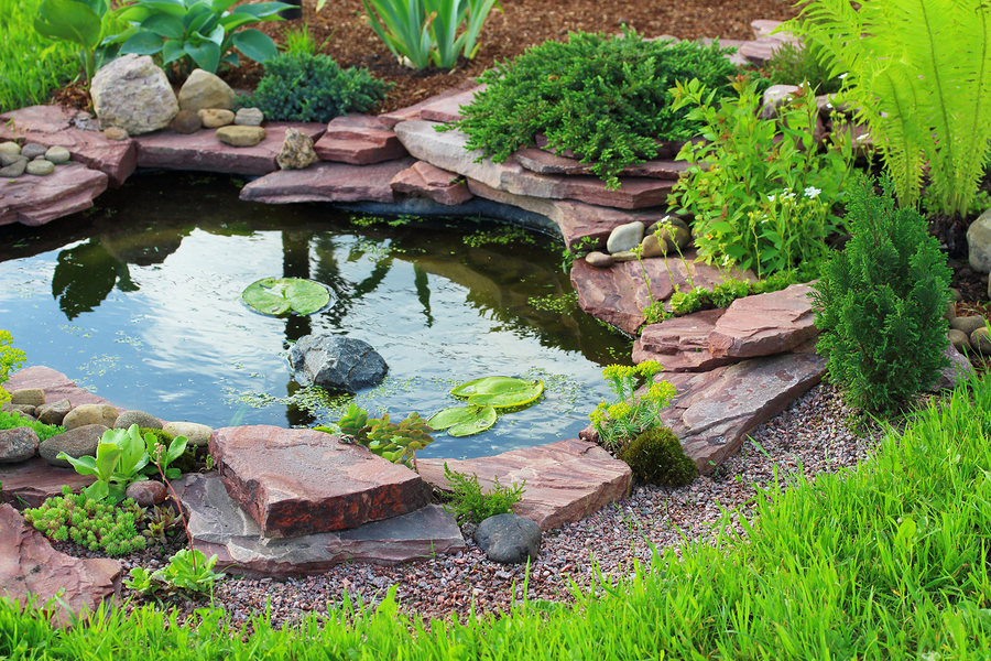3 Things to Consider for Making a Pond