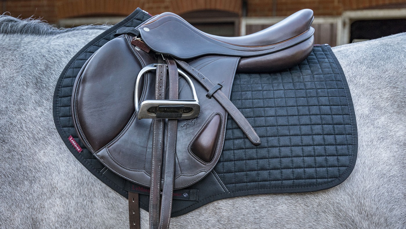 What Makes Le Mieux Horse Wear So Special?