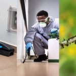A Close Look at Safer Alternatives to Traditional Pressure Washing