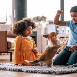 How Veterinary Hospitals Address Behavioral Health Issues