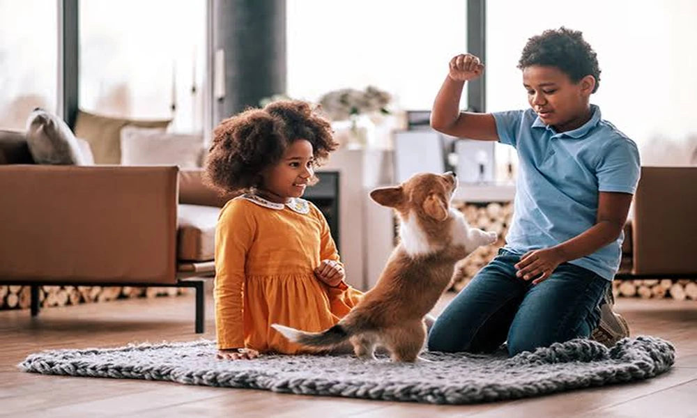 The Essential Role Of General Veterinarians In Pet Health