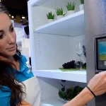 How Small Business Owners Can Protect Everything They Build